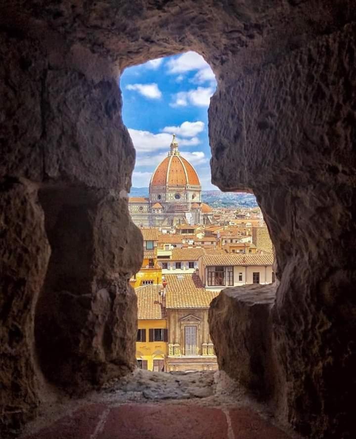 Violet 27 * Firenze